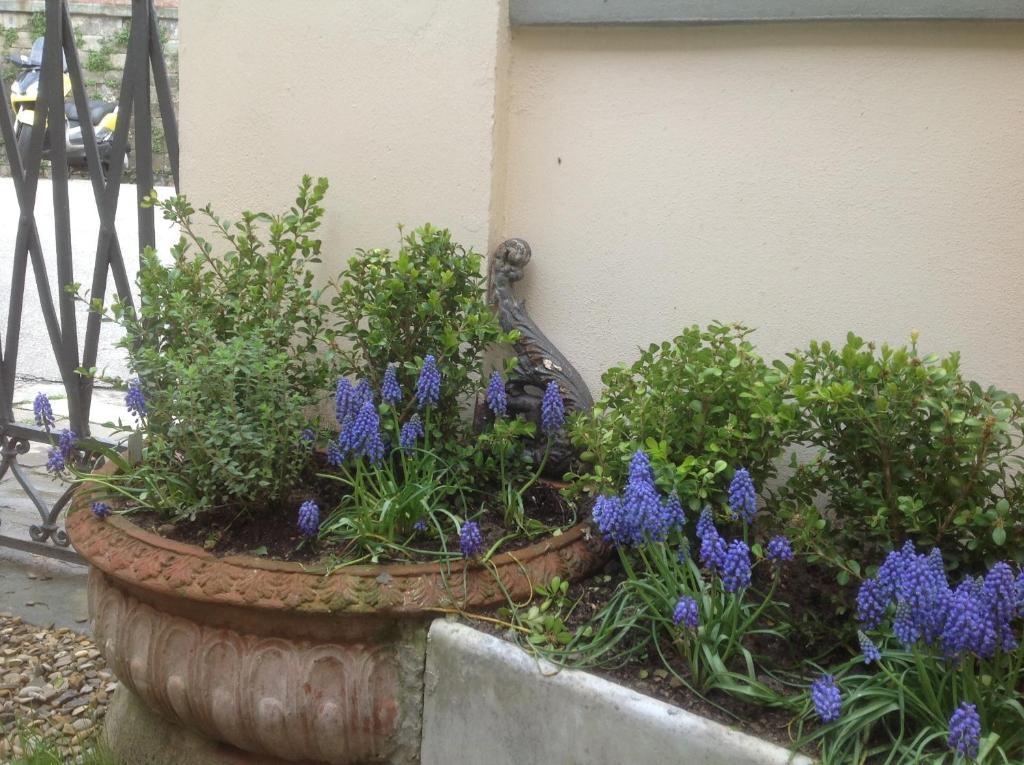 Al Giardino Delle Rose Hotel Firenze Eksteriør billede